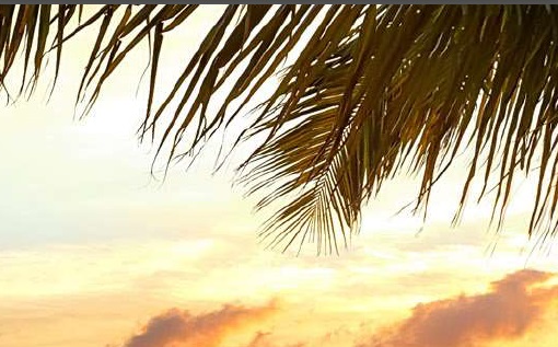 Travel big with Liberty Bankers Insurance Group